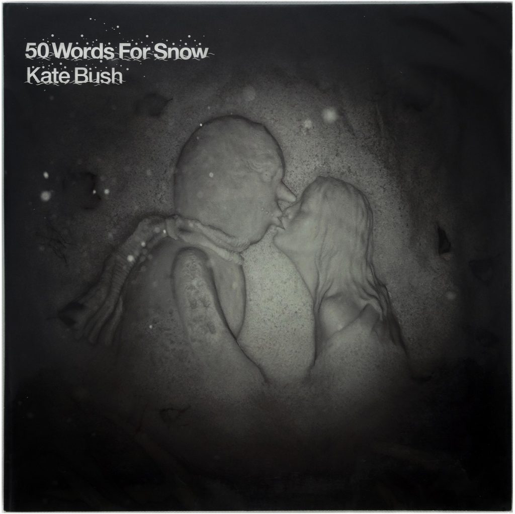 5 albume muzicale pentru iarnă și Sărbători - Kate Bush – ”50 Words for Snow” (2011)