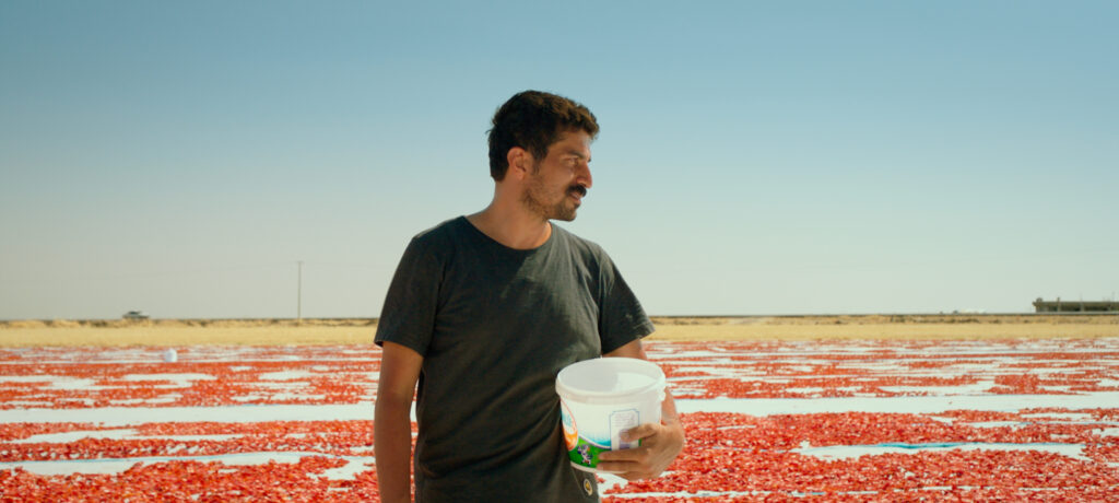 5 filme under the radar în cursa nominalizărilor Oscarurilor europene  9 5 filme under the radar în cursa nominalizărilor Oscarurilor europene